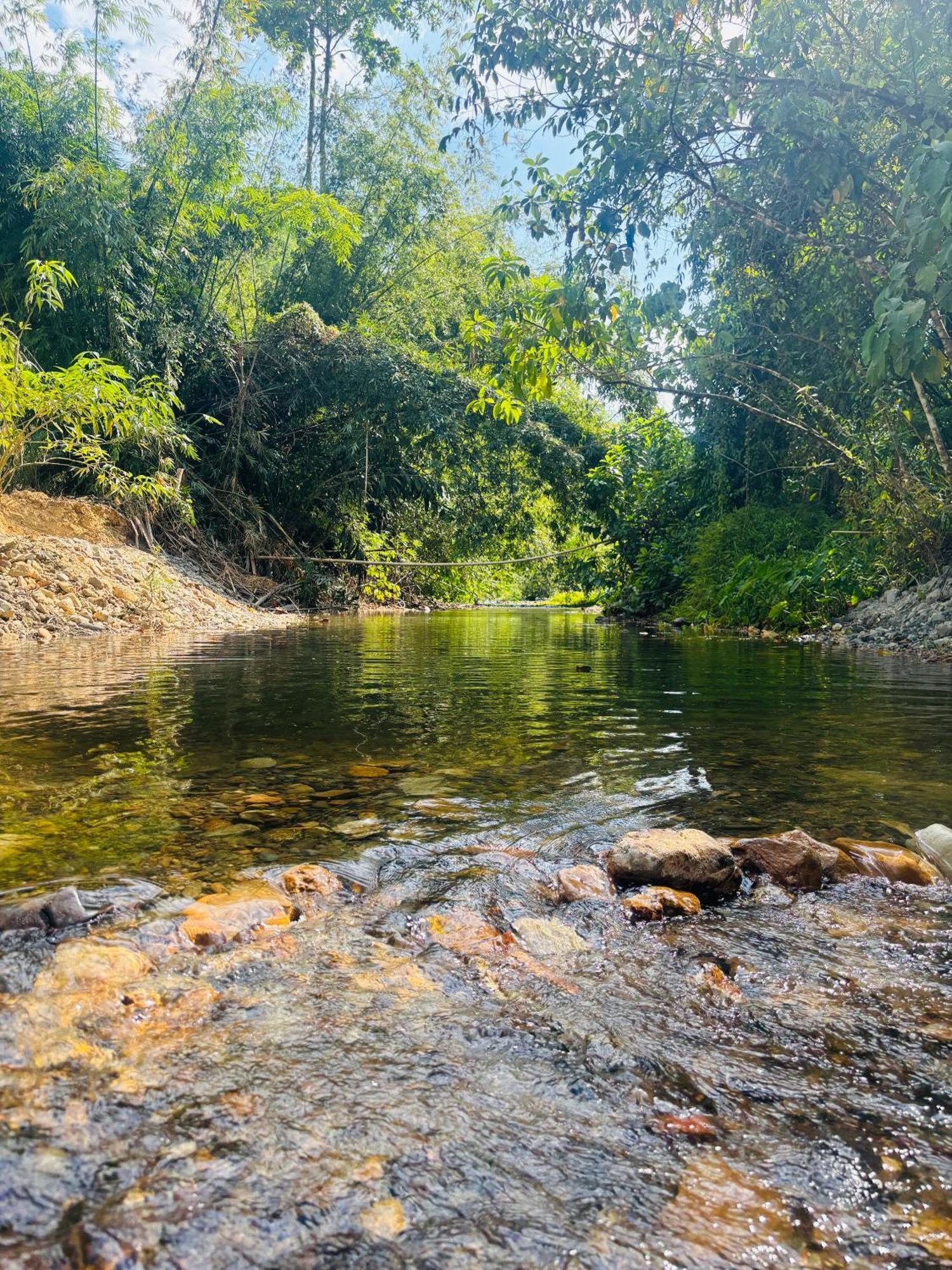 Camping Phutajoy Khaosok แคมป์ปิ้งภูตาจ้อยเขาศก Ban Thung Lang Tham Экстерьер фото